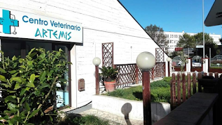 Centro Veterinario Artemis