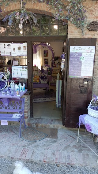 Lavanda Del Lago