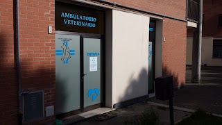 Nuovo Ambulatorio Veterinario La Fenice Dr.ssa Veronica Miglietta,Dr.ssa Cristina Terenziani