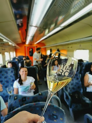 Wine Train Vipava Valley