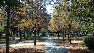 Parco Della Pace