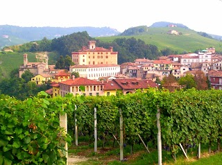 Easy Così Barolo