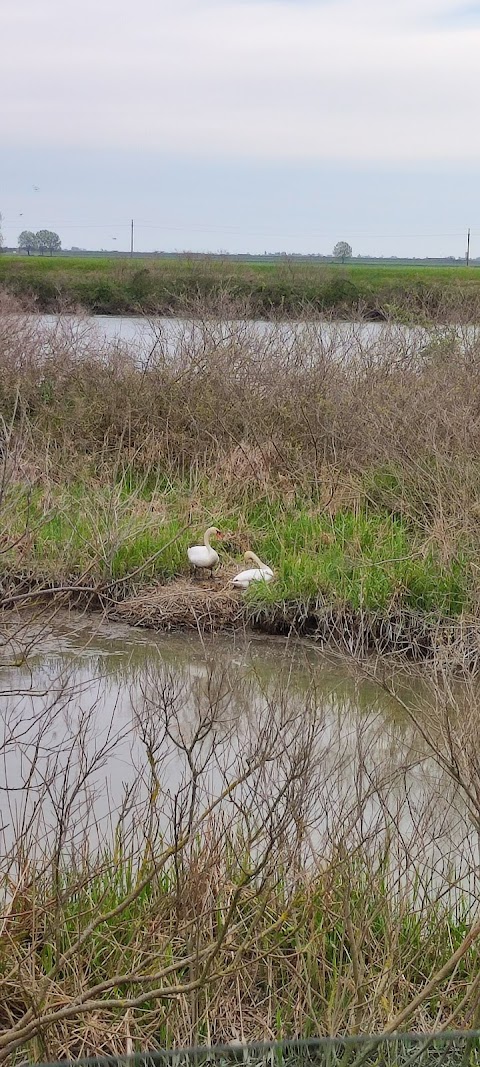 Escursioni nel Delta con Willy