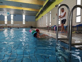 Piscina Comunale di Castelfranco Veneto