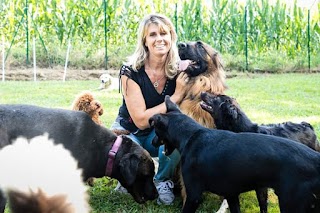 Pensione per cani e gatti La Coda Blu