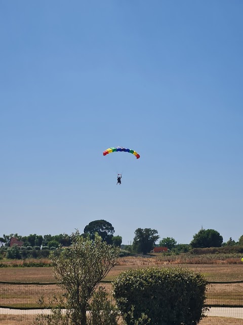 Crazy Fly Nettuno