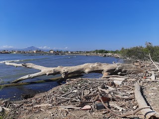 Riserva naturale Foce Volturno - Costa di Licola