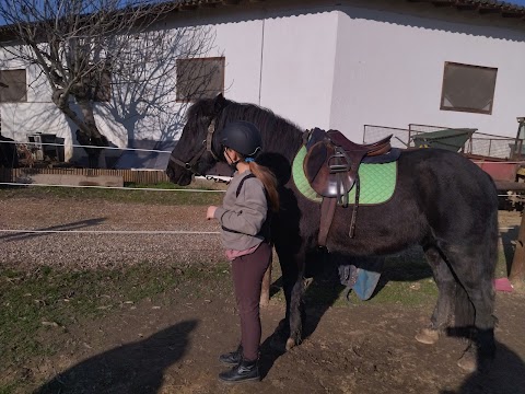 A.s.d. Martù, scuola di equitazione