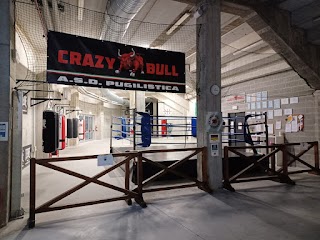 ASD PUGILISTICA CRAZY BULL