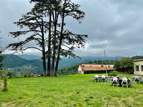 Agriturismo Del Bello