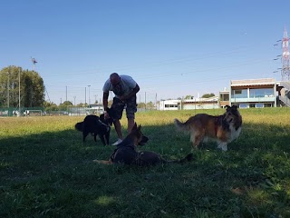 Centro Cinofilo Code Smart - DOG PARK