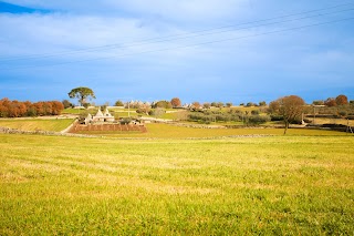 Terra Che Vive - Authentic food & wine experiences in Puglia