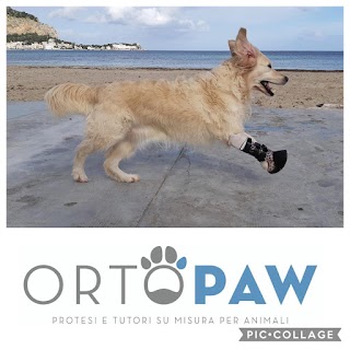 OrtoPaw protesi e tutori su misura per animali