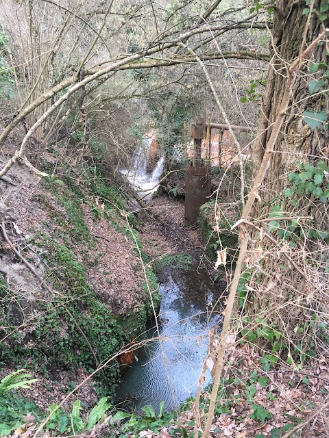 Sorgente e Cascate dell'Acquarossa