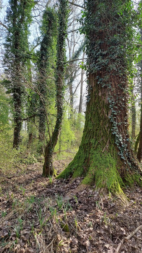 Oasi Lipu Bosco Negri