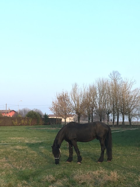 Fattoria Didattica - La Farosa