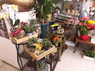 I Fiori Di Sanremo