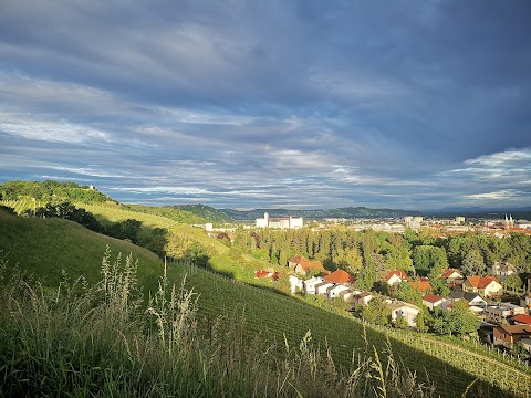 Stadion Ljudski vrt