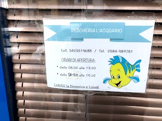 PESCHERIA L’ACQUARIO