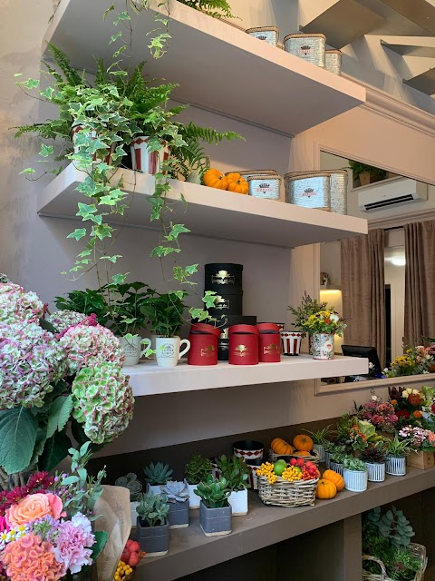 Frida's Torino Mazzini - Italian Flower Stores - Fiori