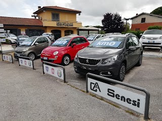 Centro Auto Senesi