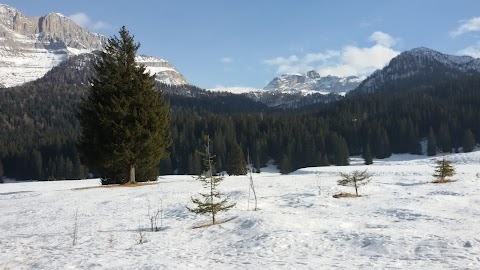 Scuola Italiana Sci CCM Campiglio