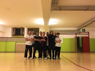 IWTO - Indipendent Wing Tsun Organization Kung Fu Venezia