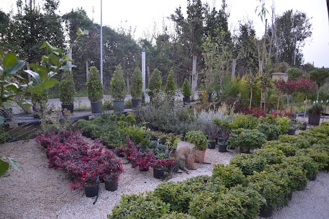 Vivaio Gaia Garden