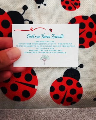 La Coccinella di Ilaria Zanotti - Studio di Psicomotricità, Consulenza Educativa e Benessere