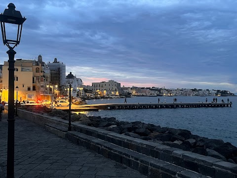 Galano Trasporti Di Galano Antonio E Cenatiempo Si