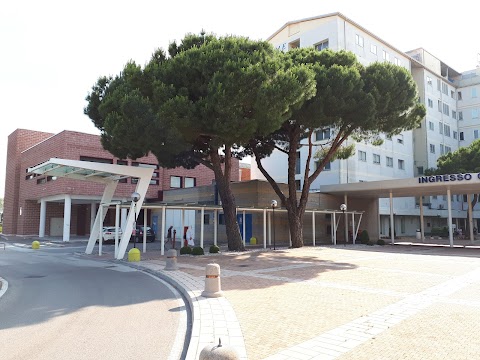 ULSS3 Serenissima - Distretto di Chioggia, Ospedale Madonna della Navicella