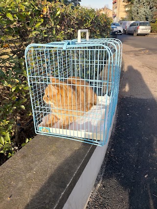 Ambulatorio Veterinario Parco Dei Cedri