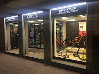 Cicli Gai Chieri