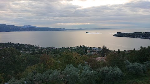 AGRITURISMO TURELLI