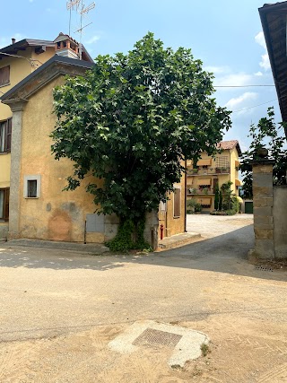 Scuola di Formazione in Agricoltura Biodinamica di Michele Baio