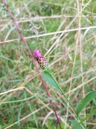 Ferramenta Quiligotti