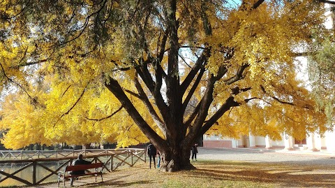 Parco Villa Gandini