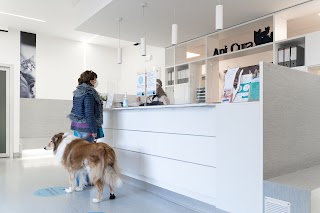 Clinica Veterinaria Malpensa