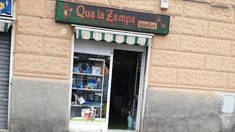 Qua La Zampa