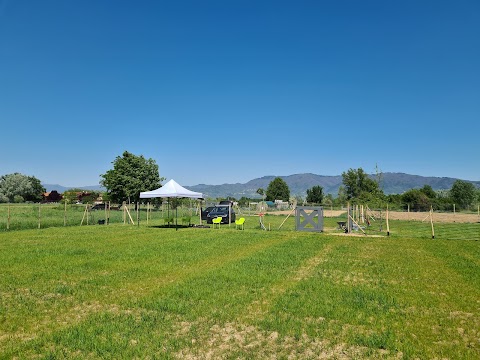 Centro Cinofilo L'Essenza del Cane A.S.D.