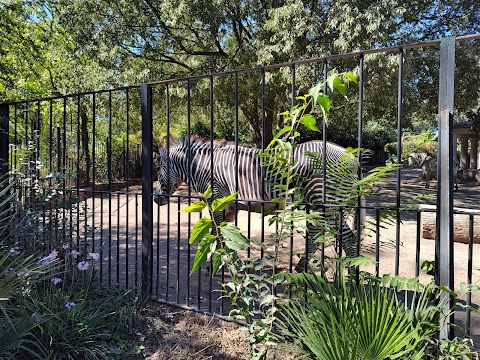 Bioparco di Roma