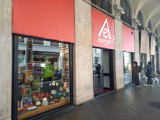 Everest Store Torino