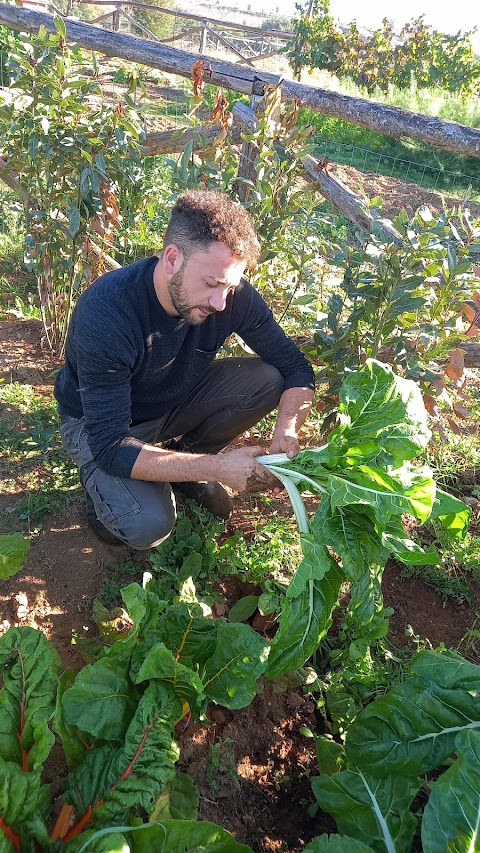 Davide Gesualdi - Chef a domicilio Roma