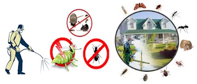 photo of Accurate Fumigation services in karachi