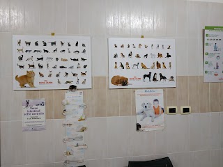 Ambulatorio Veterinario Dott.Ssa Elettra Martella