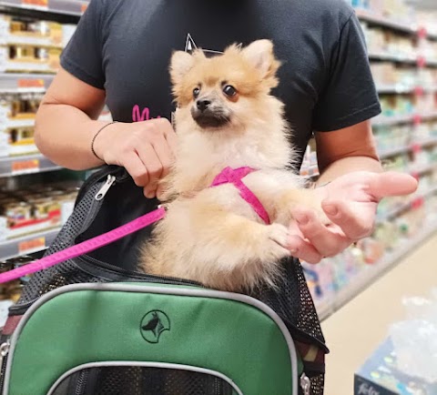 Pet Store Conad Negozio per animali