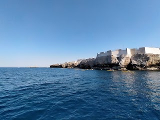 Gite In Barca Polignano a Mare - Polignano in mare Escursioni