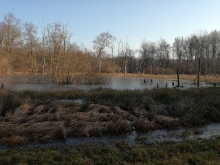 Parco dei Lagoni di Mercurago