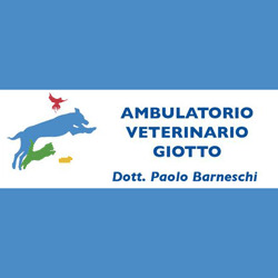 Veterinario Giotto