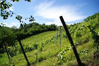 Società Agricola Segalini S.S.